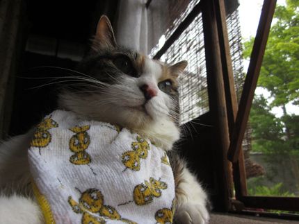 20140617_5557.jpg