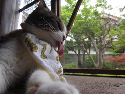 20140617_5559.jpg