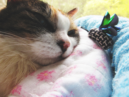 20140627c.jpg