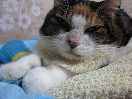20140928_6031.jpg