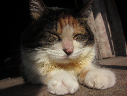 20141124_6267.jpg