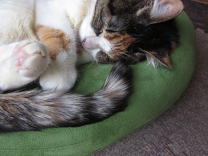 20150615.jpg