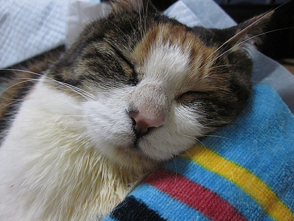 20150630a.jpg