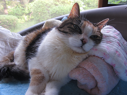 20150630b.jpg