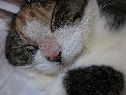 20150630c.jpg