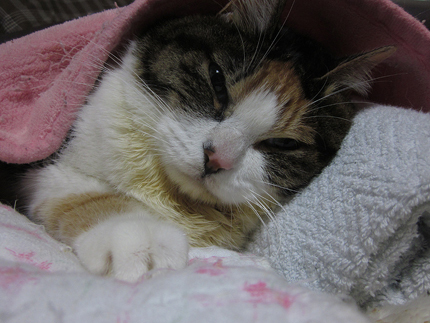 20151120_7820.jpg