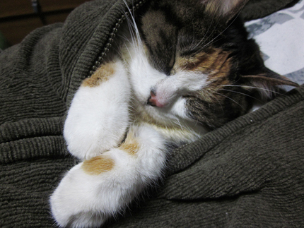 20151125_7870.jpg