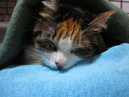 20151231a.jpg