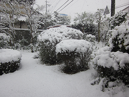 20160120yuki.jpg