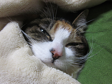 20160222miiko.jpg