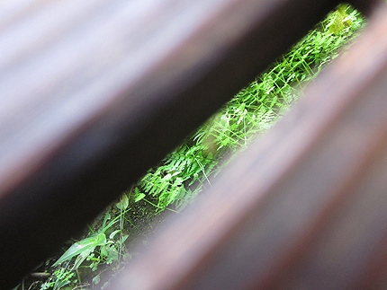 20160717c.jpg
