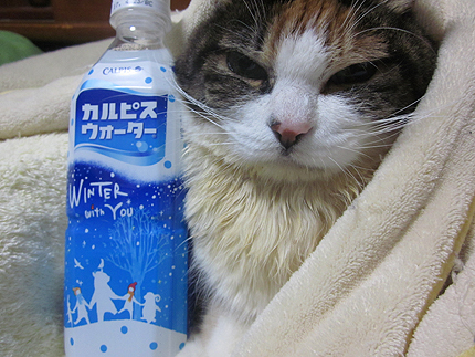 20161231b.jpg