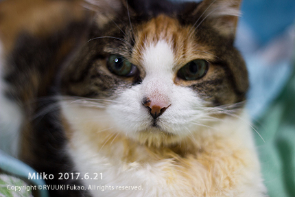 20170621miiko_8647.jpg