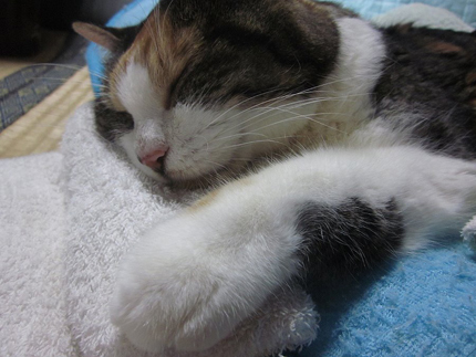 20180902miiko16.jpg