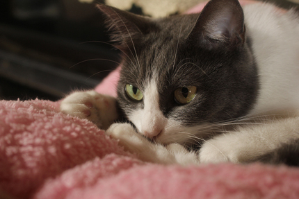 20181007maruko1.jpg
