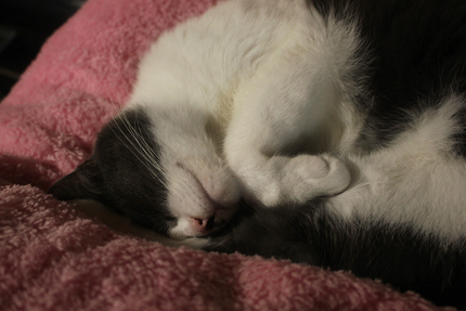 20181007maruko2.jpg