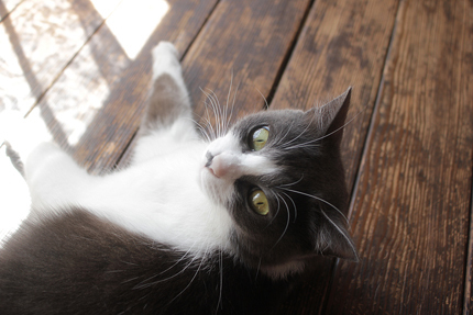 20181008maruko.jpg