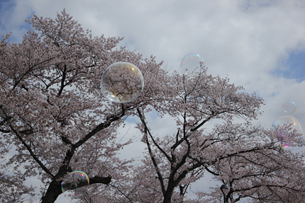 20190411_3001.jpg