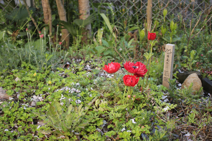 20190413_3110.jpg