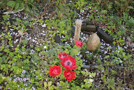 20190413_3120.jpg