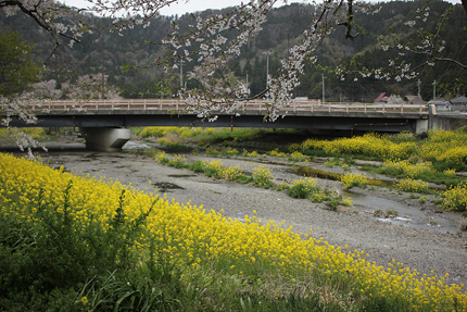 20190417_3186.jpg