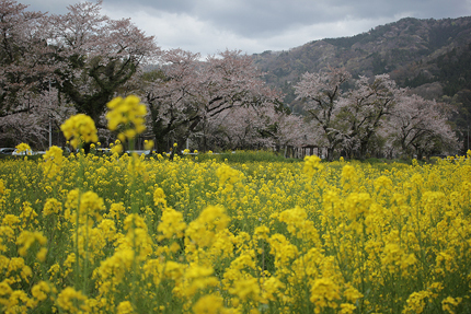20190417_3193.jpg