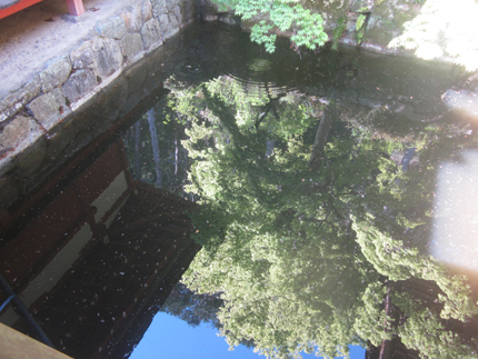 20190504_2437.jpg