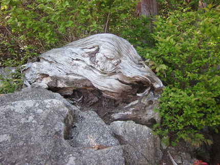 20190504_2444.jpg