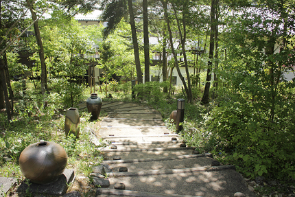 20190508_3404.jpg