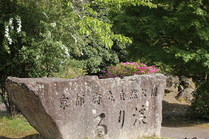 20190508_3414.jpg