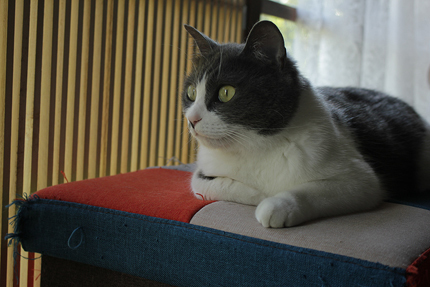 20190525_3594.jpg