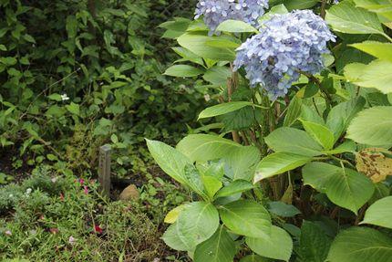 20190713_4008.jpg