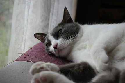 20190928_4740.jpg