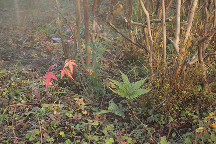 20191213_5316.jpg