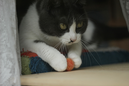 20200727_7206.jpg