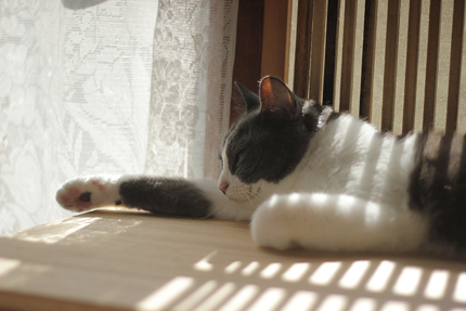 20200919_7573.jpg