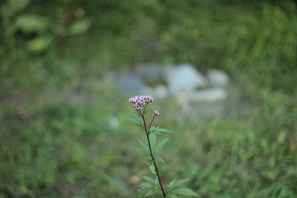 20201025_7695.jpg