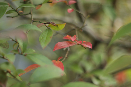 20201113_7758.jpg
