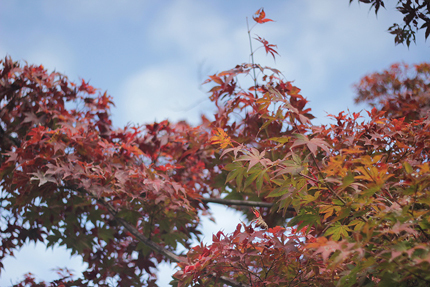 20201113_7774.jpg