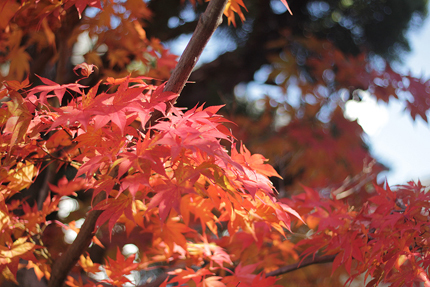20201203_7883.jpg