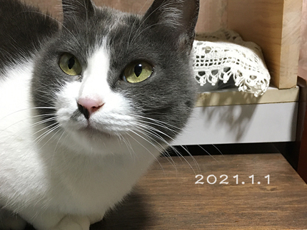 20210101isg1.jpg